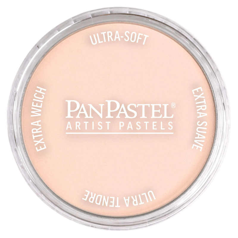 PANPASTELPanPastel Ultra Soft Artist Pastel Boya Red Iron Oxide Tint 23808879465000579