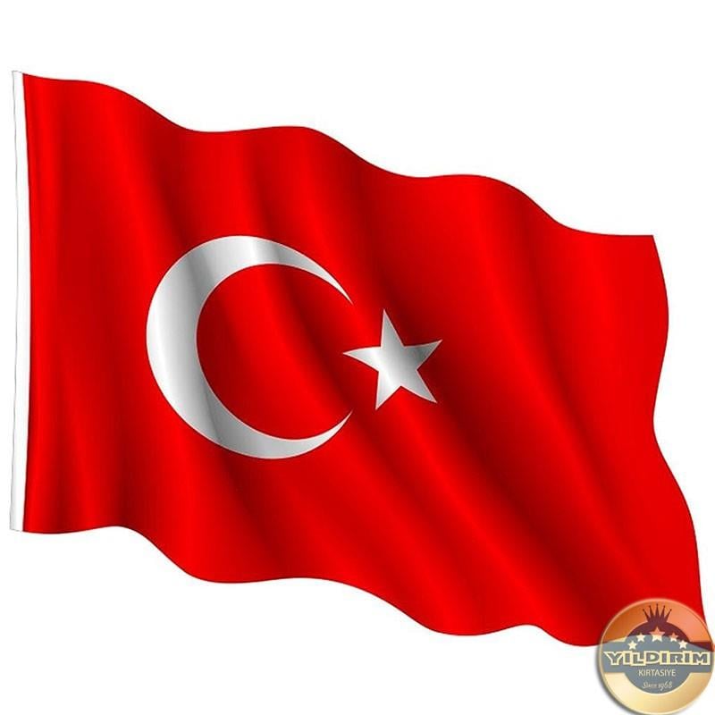 Türk Bayrağı 80x120 Kumaş