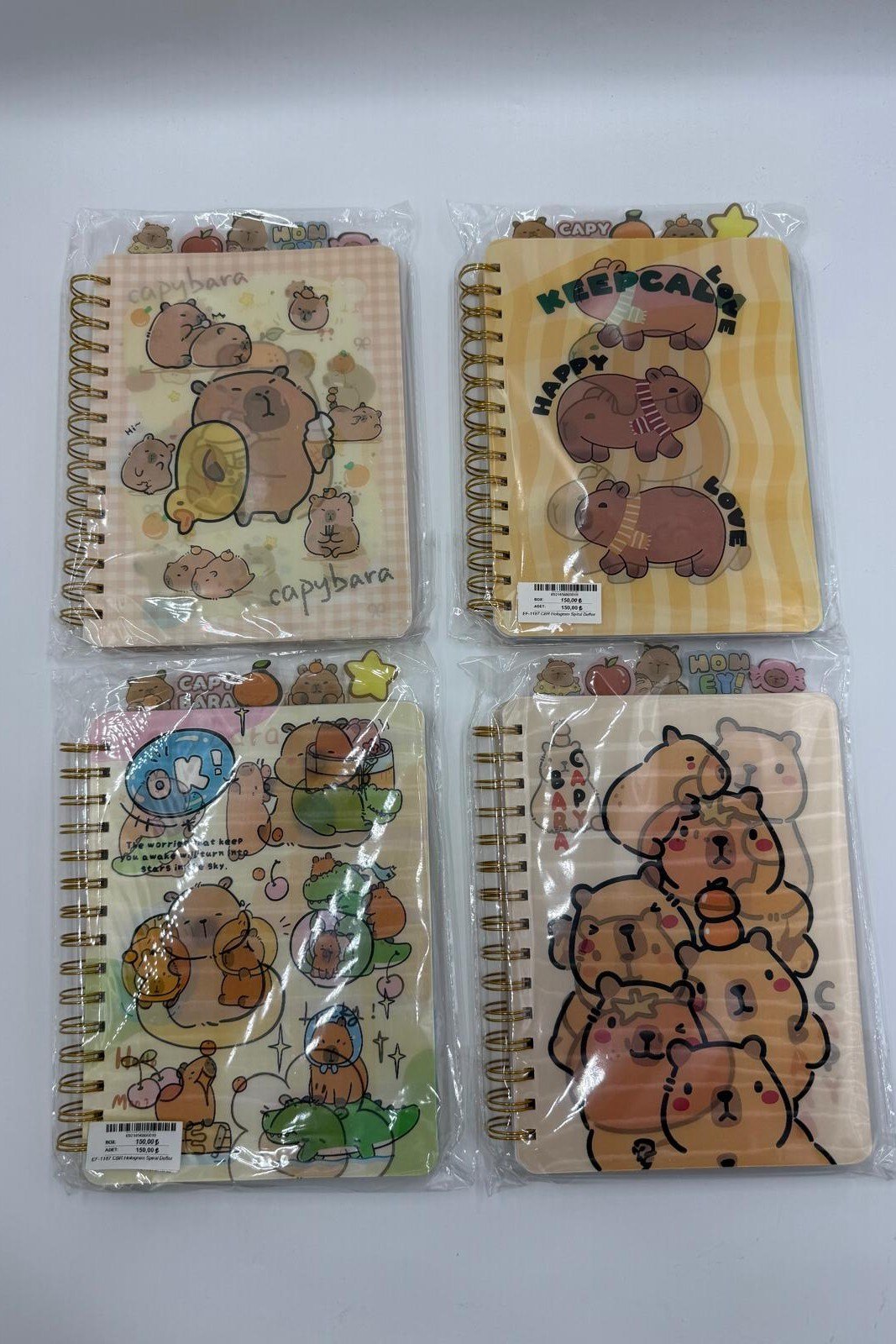 Capybara Hologram Spiral Defter Çeşitleri