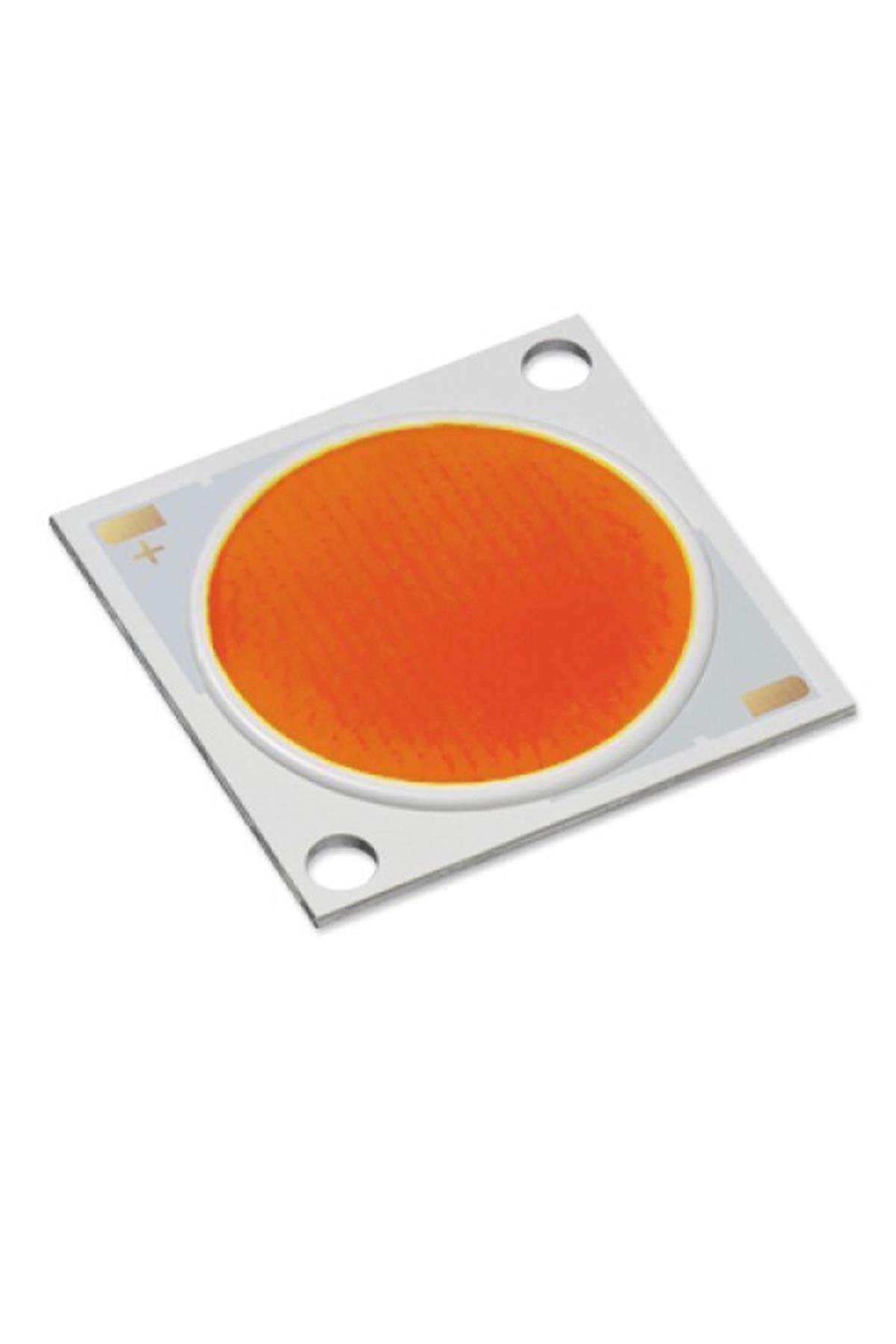 Citizen Prb 56 W Çip