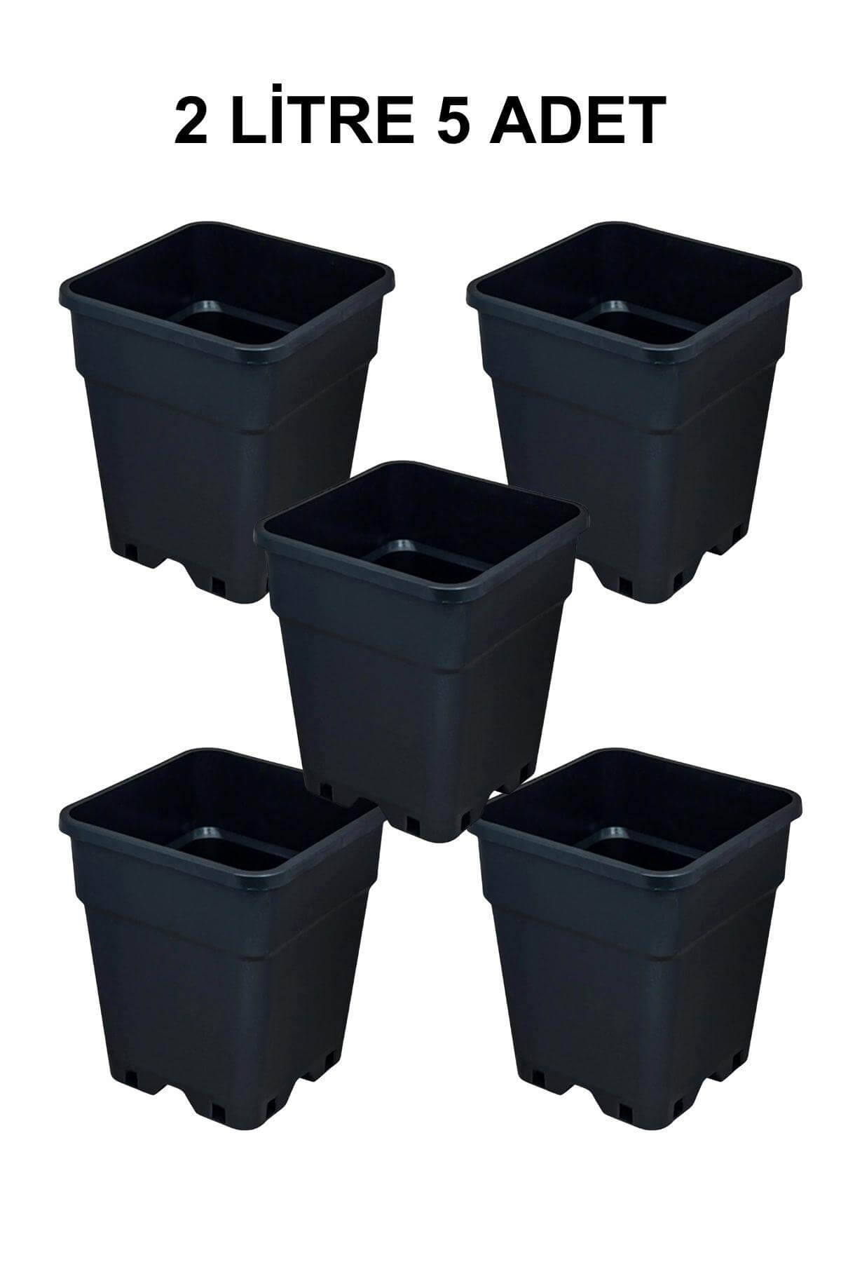 Grow Wizard Plastik Kare Saksı 2 Litre 5 Adet
