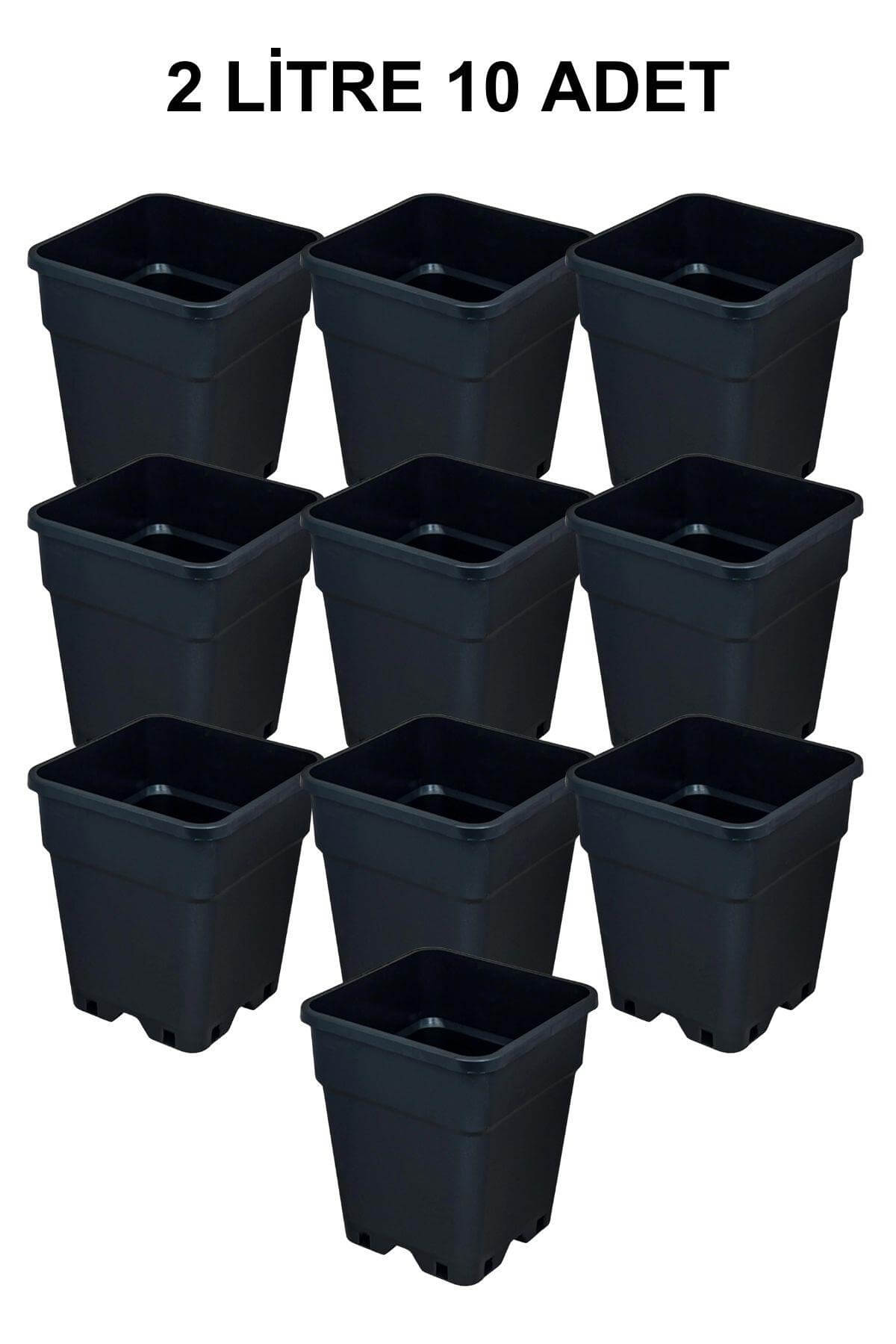 Grow Wizard Plastik Kare Saksı 2 Litre 10 Adet