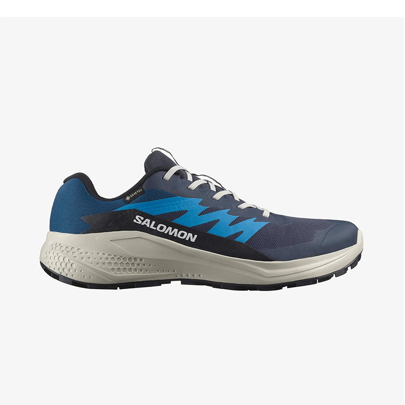 Alphaglıde Gore-Tex Erkek Koşu Ayakkabısı L47975100