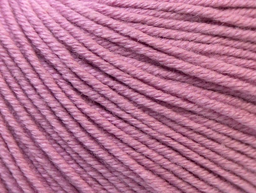 Baby Summer Light Orchid