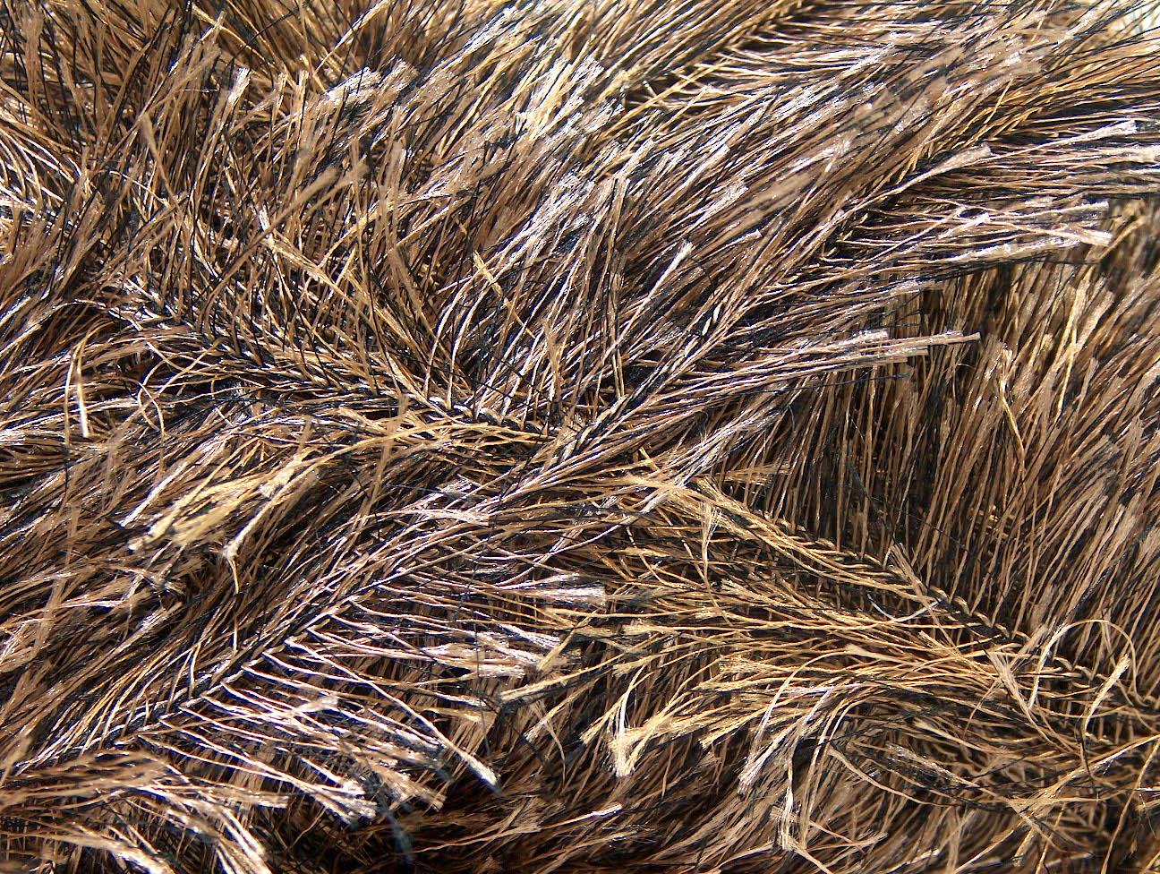 Eyelash 100gr Brown, Camel