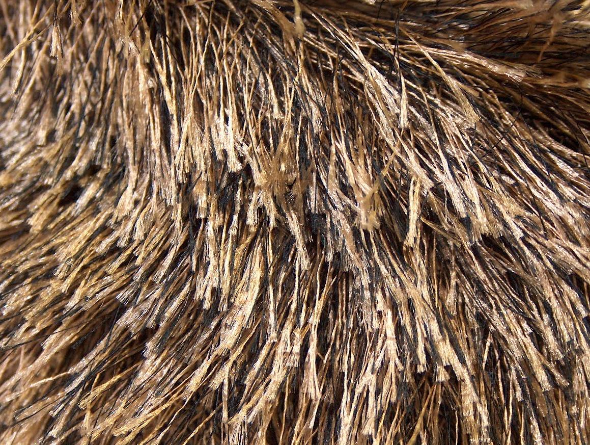 Eyelash Brown, Camel