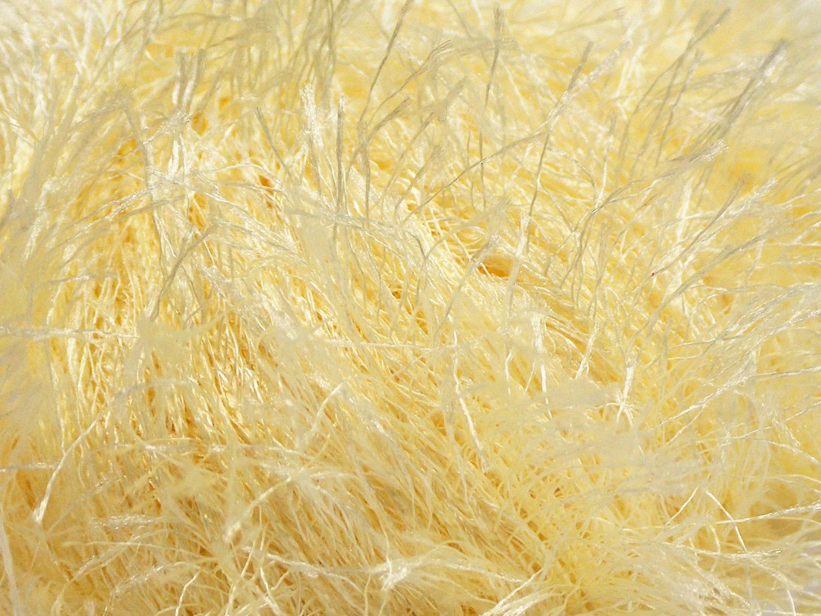 Eyelash Light Yellow