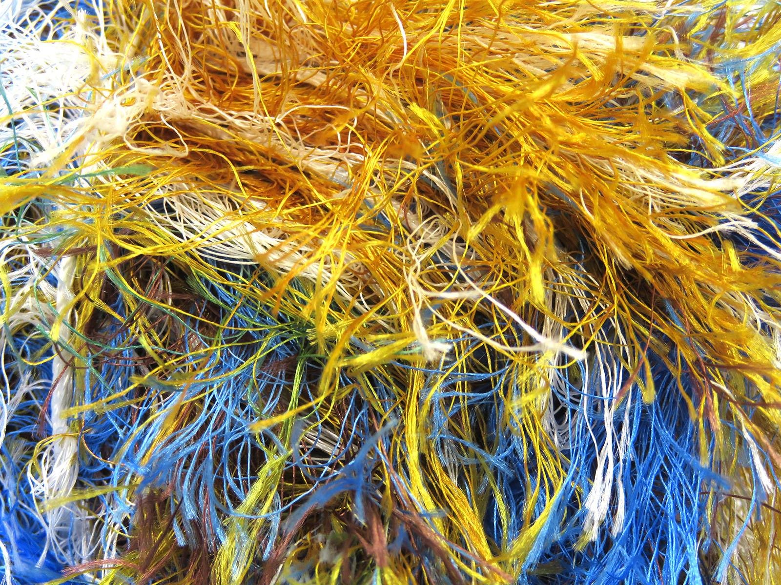 Long Eyelash Rainbow Brown, Blue, White, Yellow