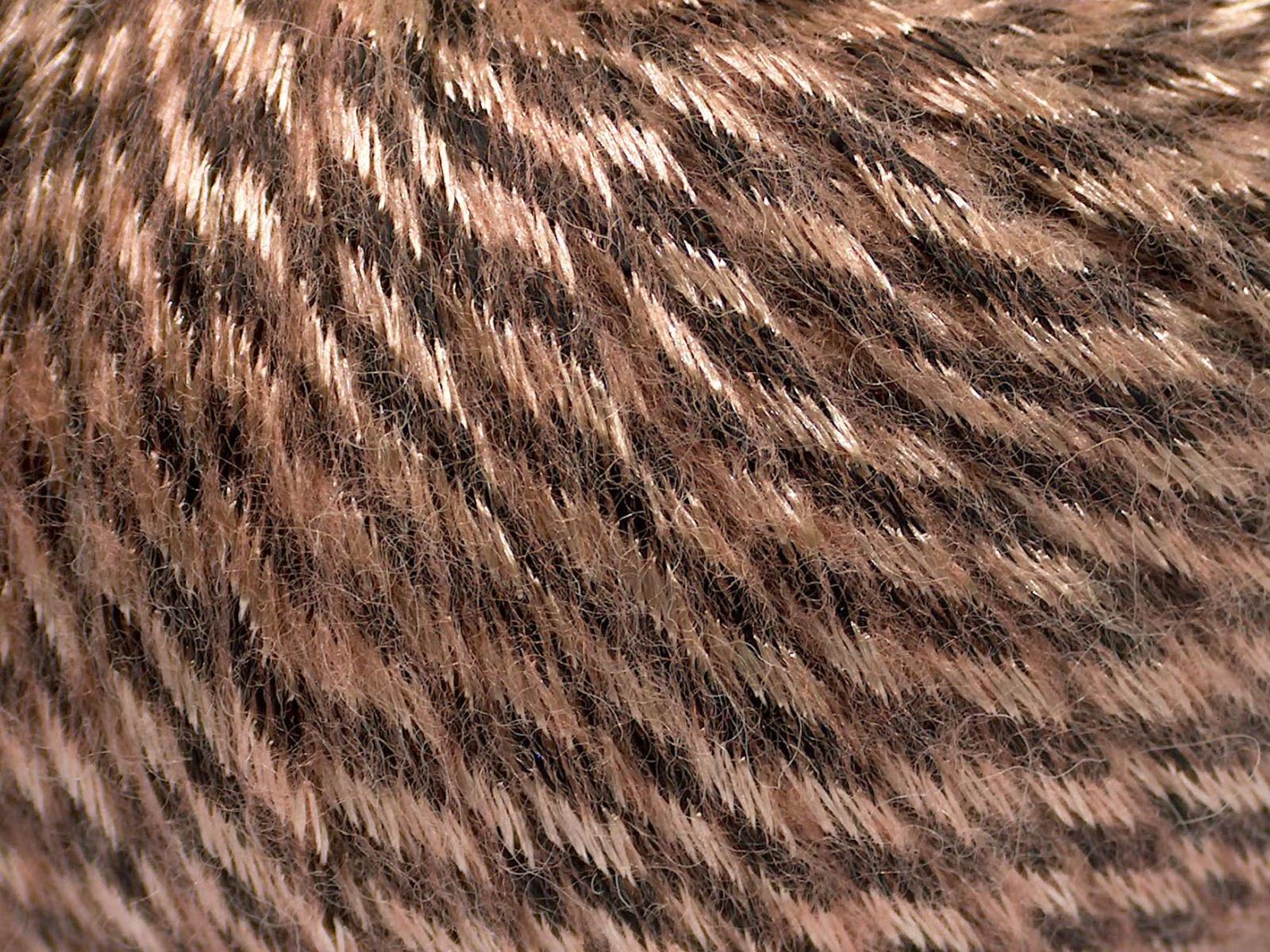 Rock Star Brown, Light Salmon