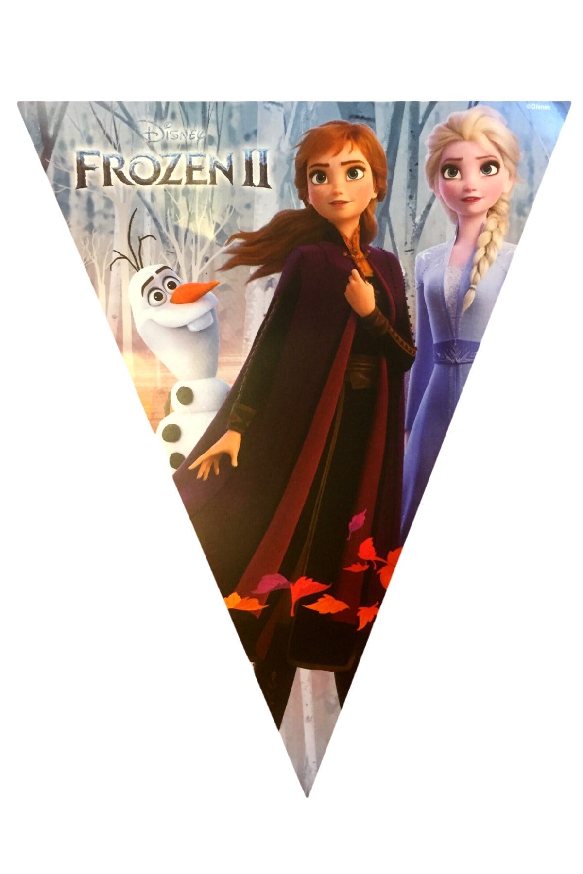 Elsa Anna Karakterli Flama Üçgen 11 Bayrak İpli 320 cm Frozen Karlar Ülkesi Temalı Konsept