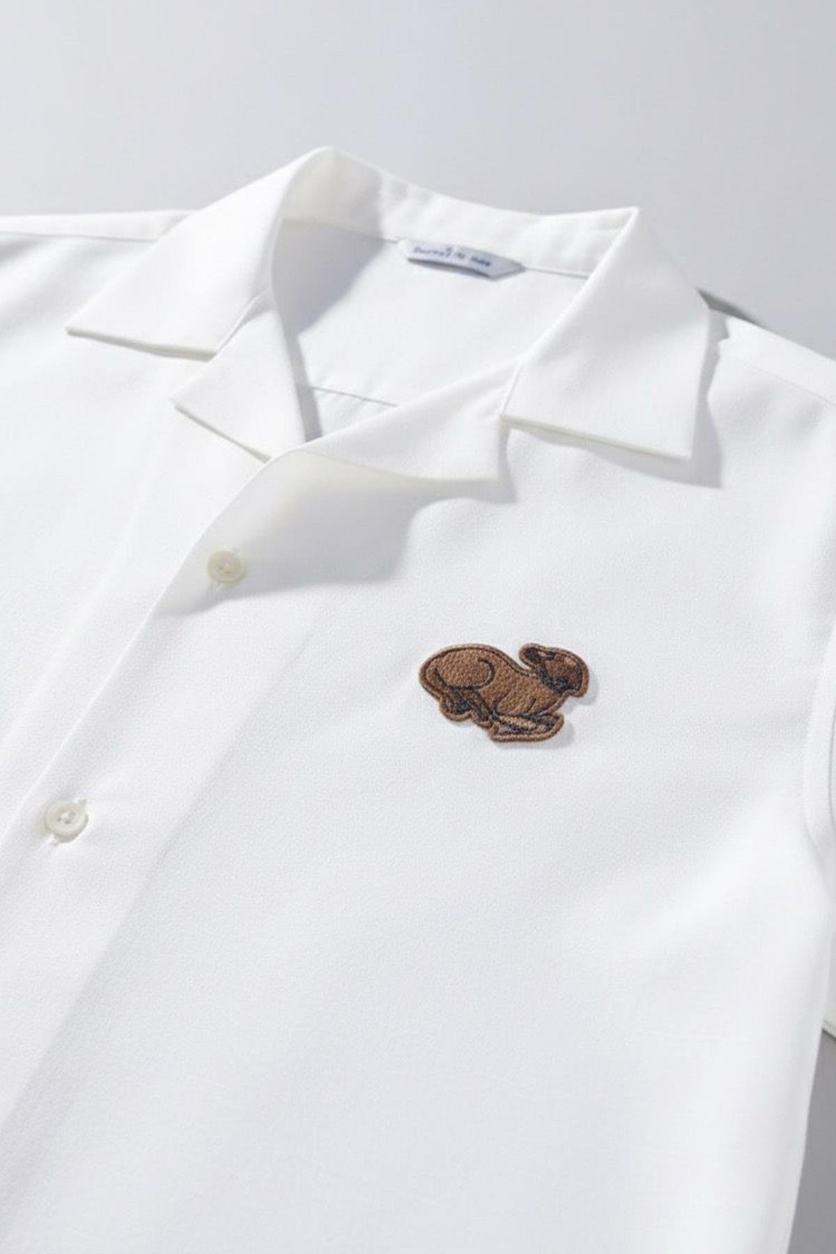 APAŞ YAKA TENCEL ERKEK GÖMLEK Ekru - Sabri Özel