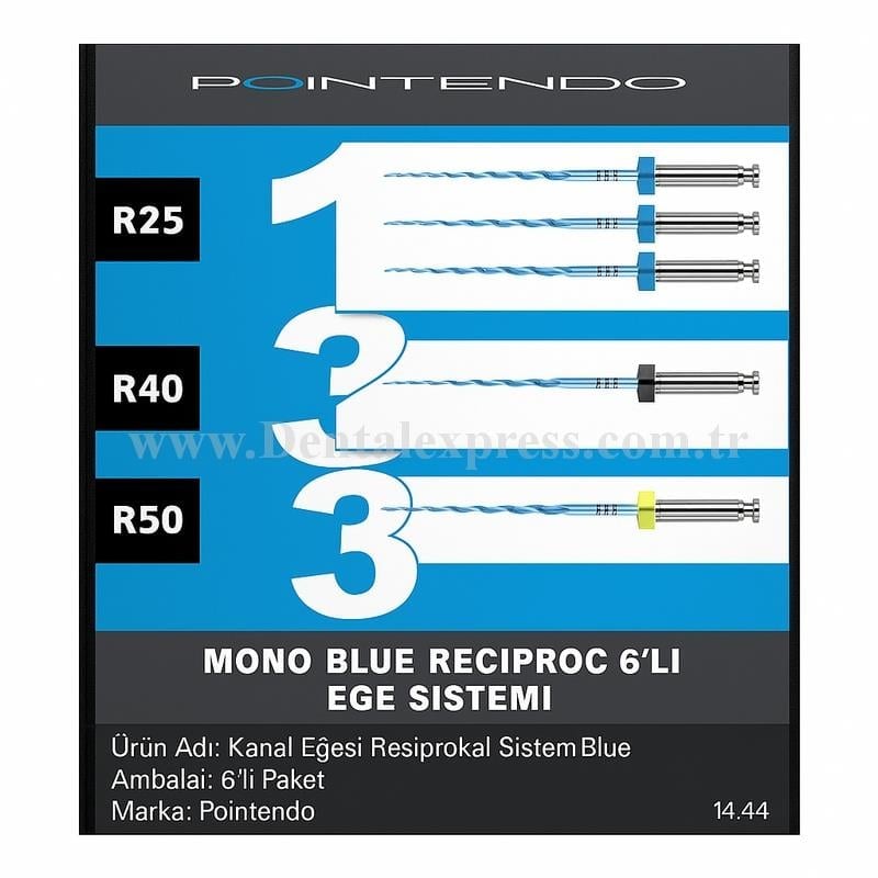 Pointendo Mono Blue Resiprokal Eğe Sistemi 6'lı