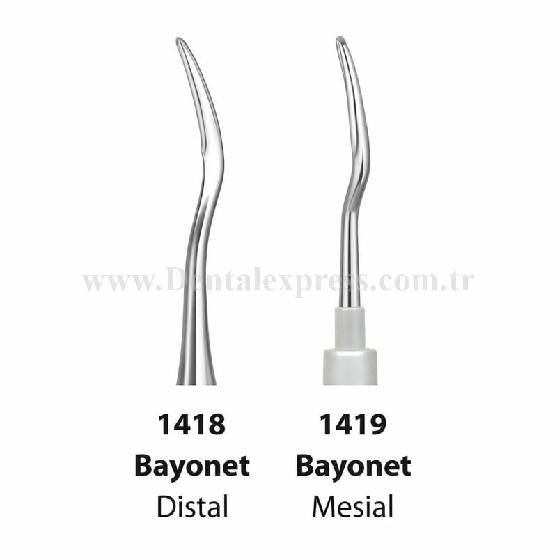 Raven Dental Bayonet Elevatör Distal