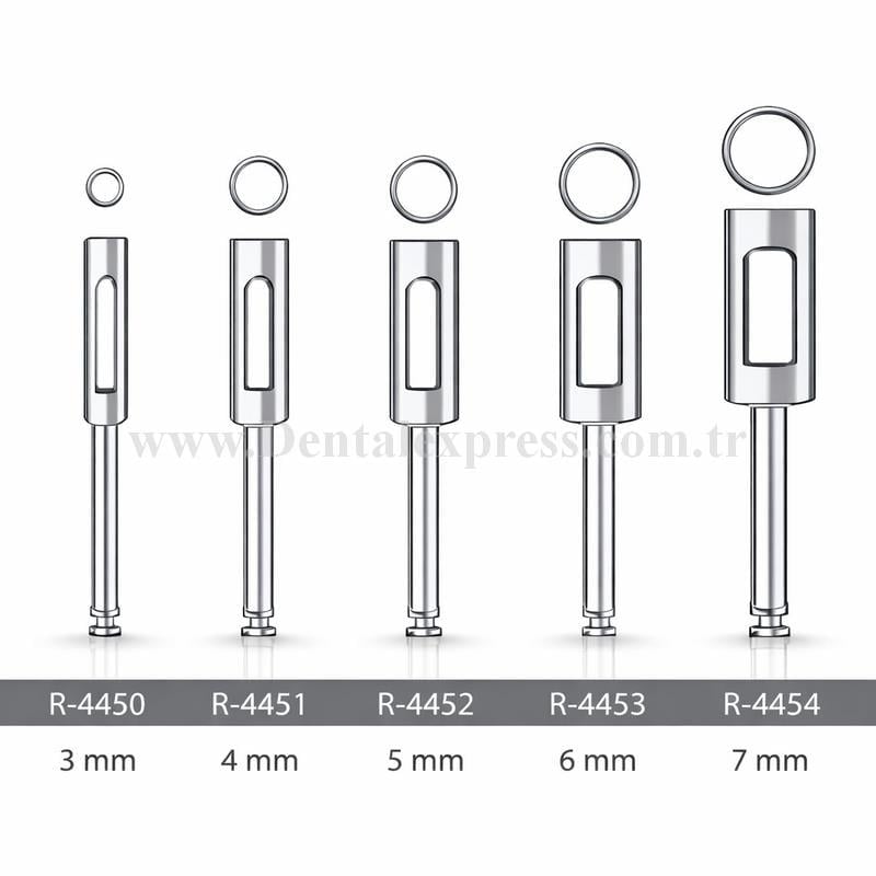 Raven Dental Doku Punch