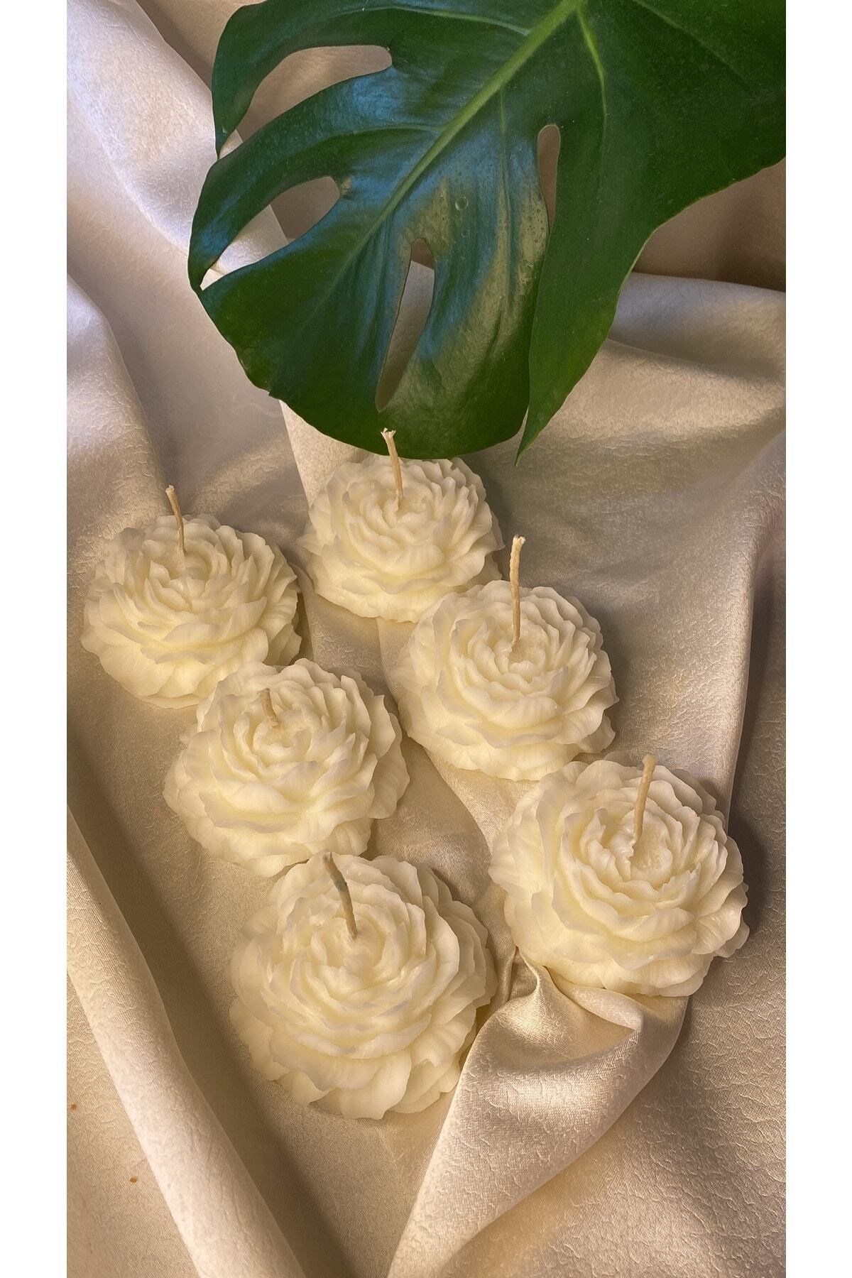 Bernamiofficial 6'lı Gül Vegan Mum