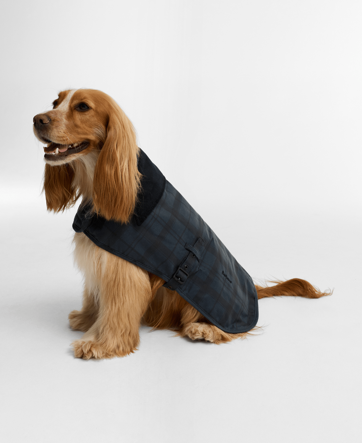 Barbour Ambleside Yağlı Köpek Montu