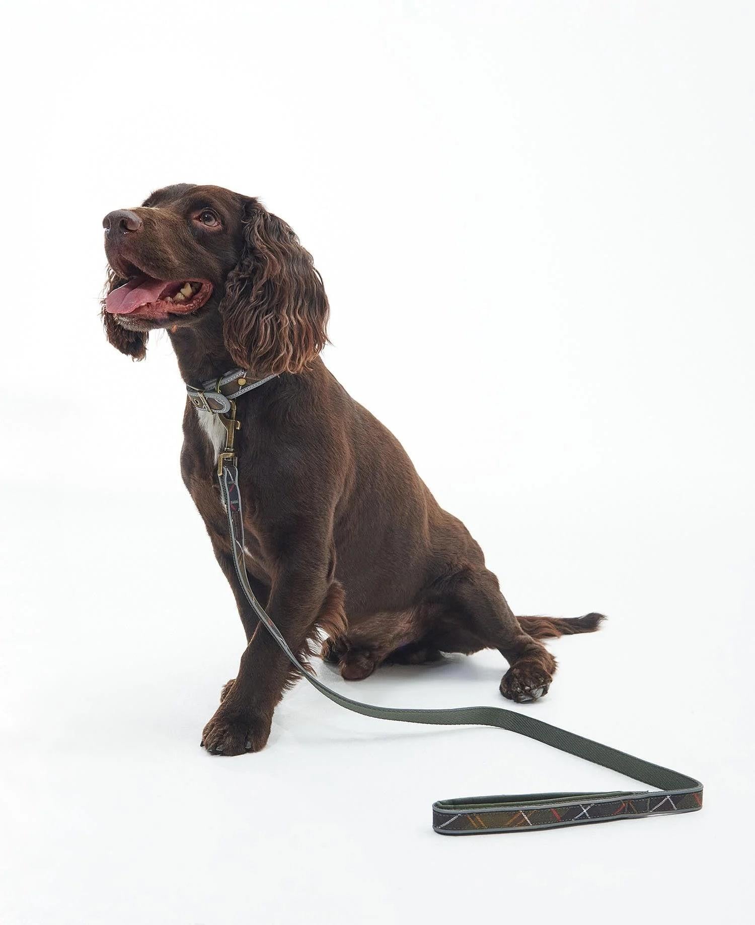 Barbour Reflective Tartan Comfort Köpek Tasması