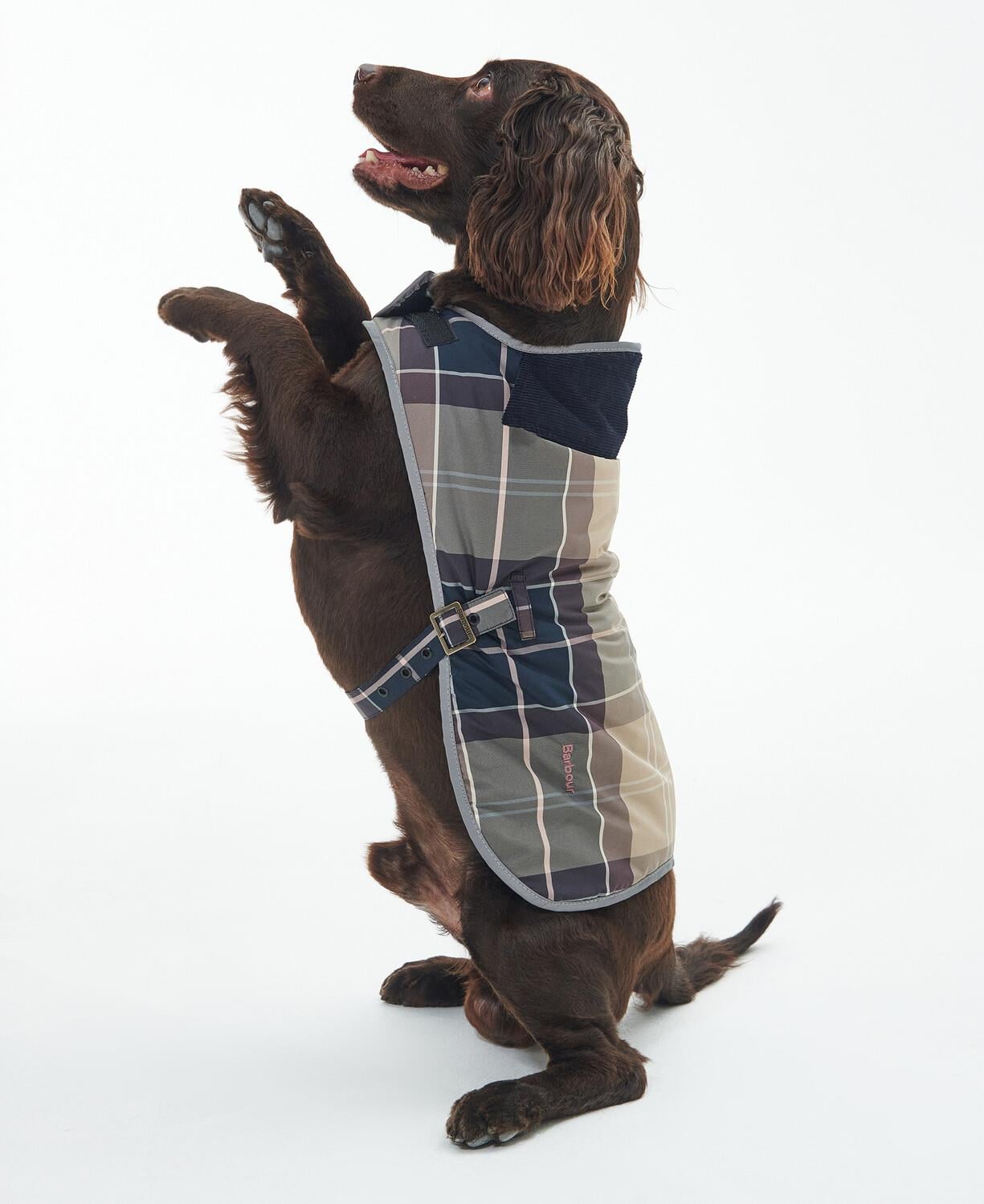 Barbour Wetherham Ekose Köpek Montu