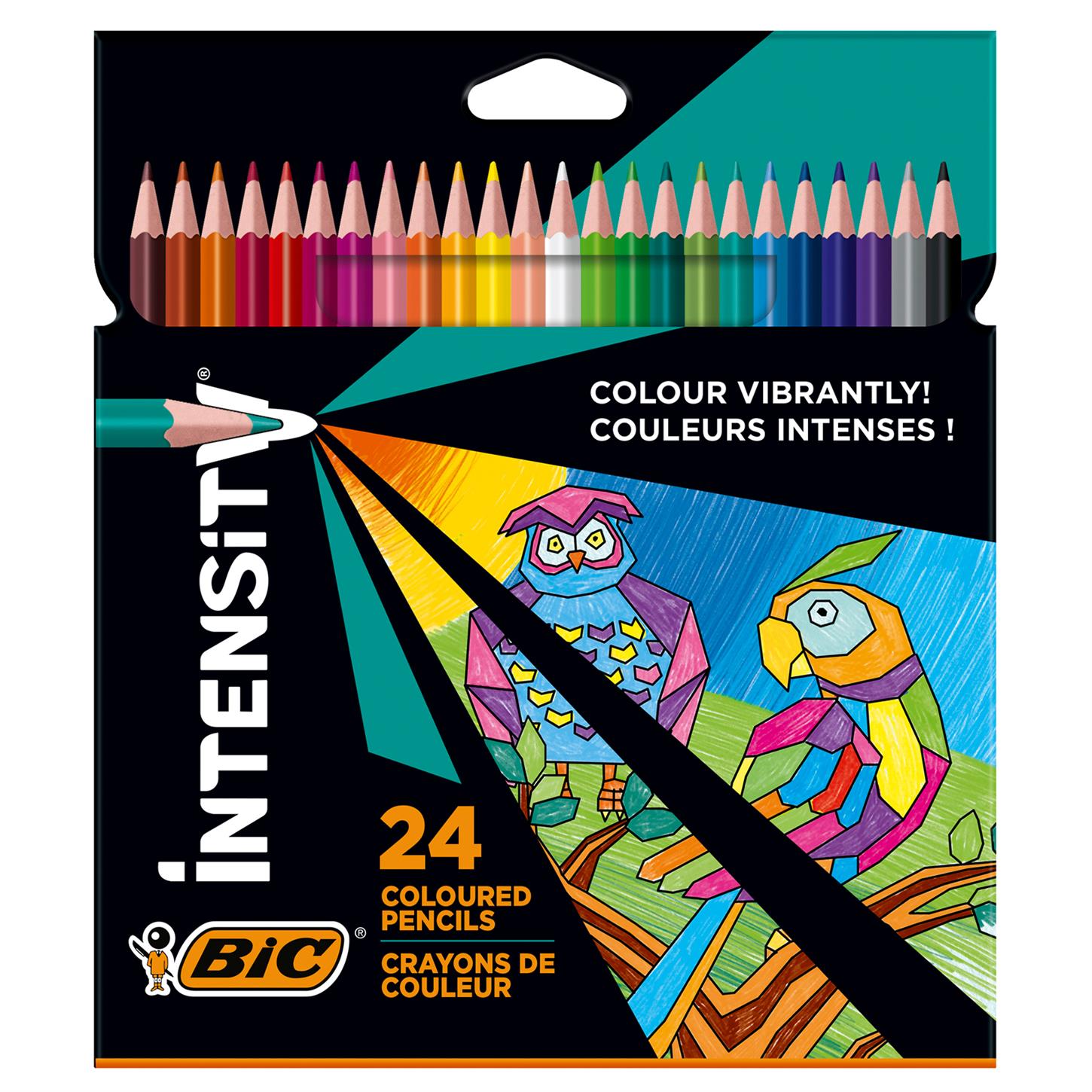 Bic Intensıty Kuru Boya Kalemi, 24 Renk