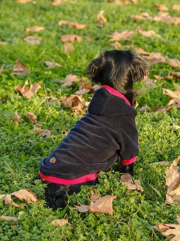 Büyük Irk Lacivert-Kırmızı Polar Sweatshirt POPS