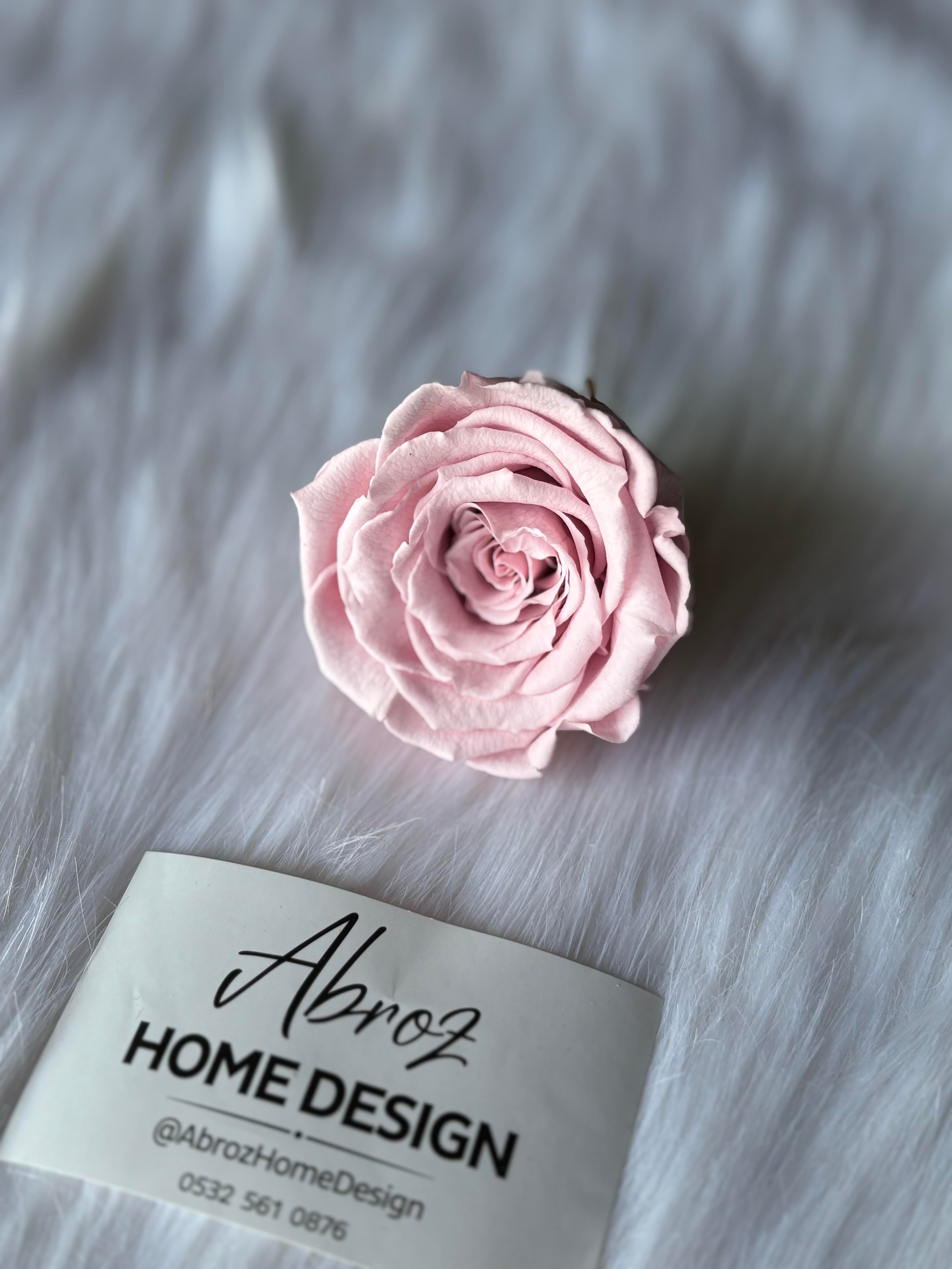 SOLMAYAN GÜL / PEMBE