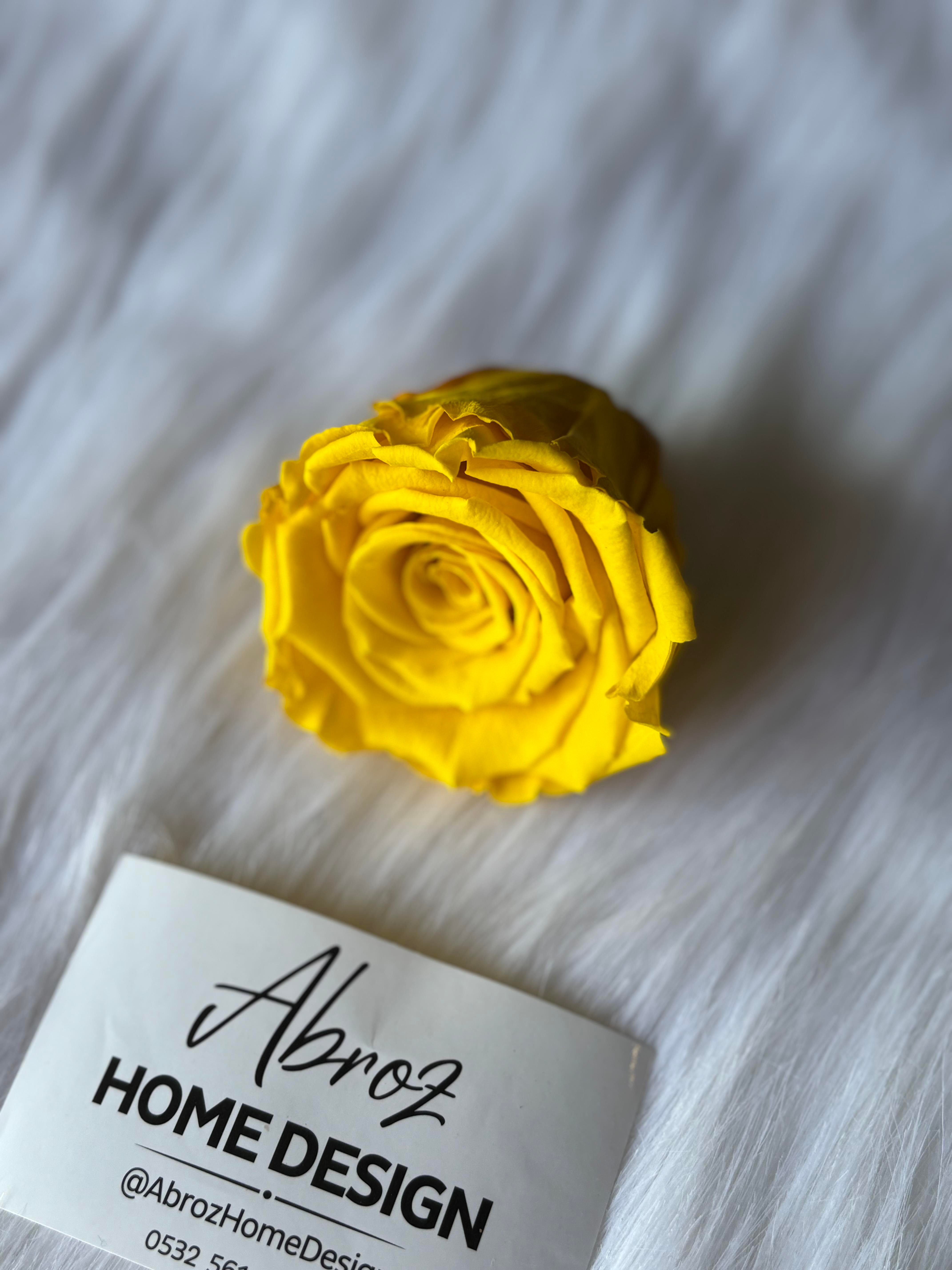 SOLMAYAN GÜL / SARI