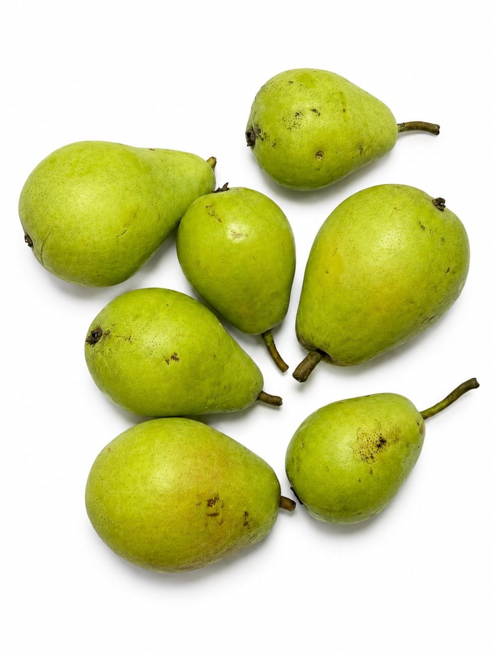 Armut 1 Kg