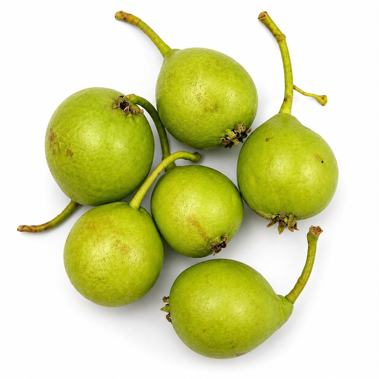Armut 500 g