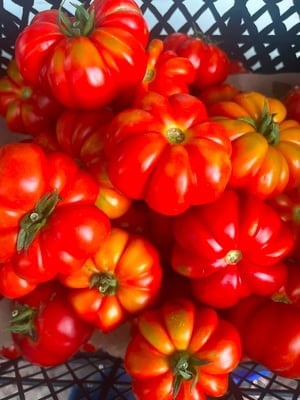 Boğumlu Köy Domatesi 1 kg