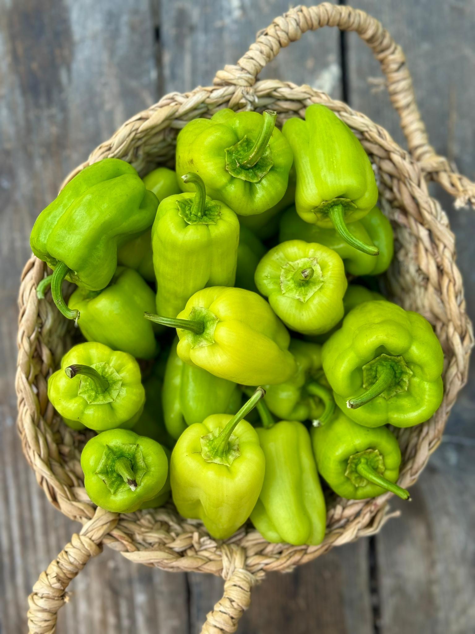 Dolmalık Biber  500g