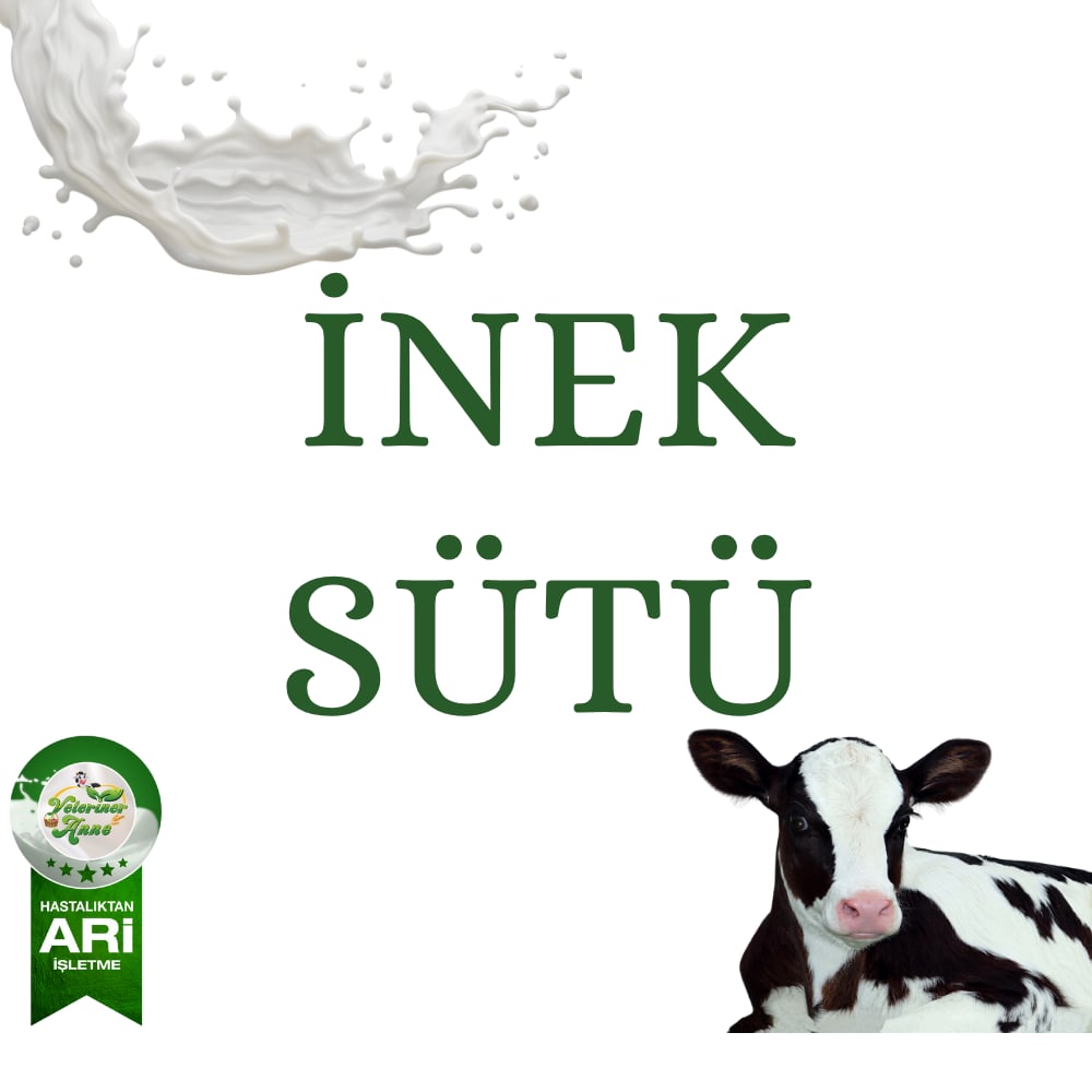 İnek Sütü