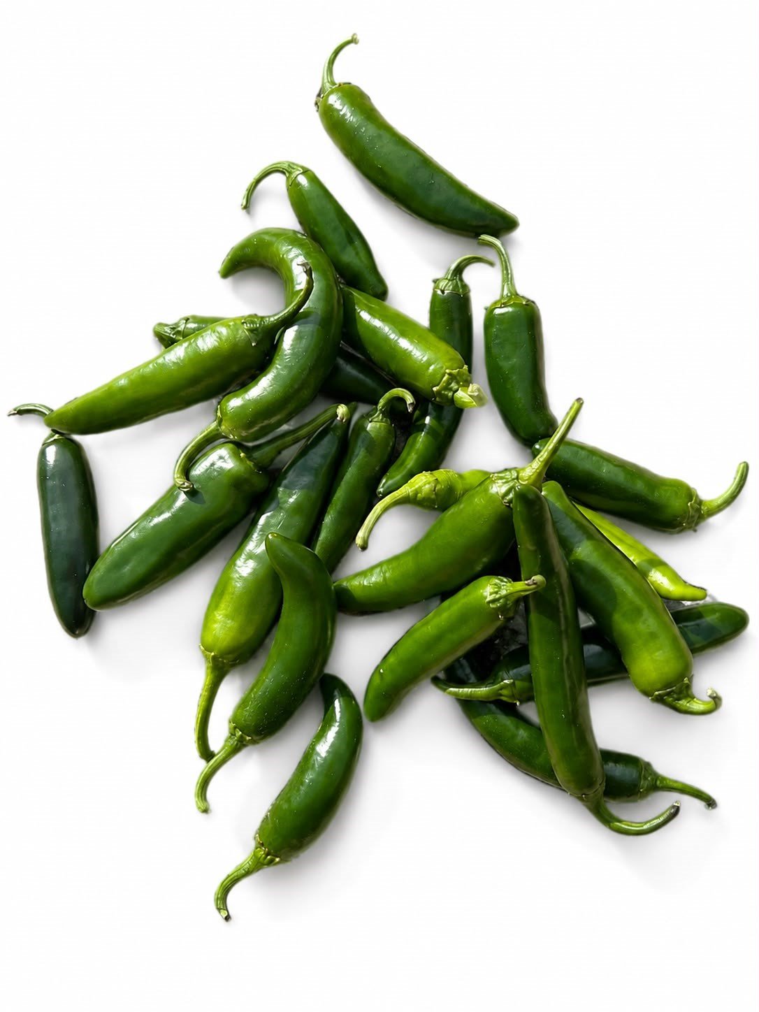 Jalapeno biber 500 g