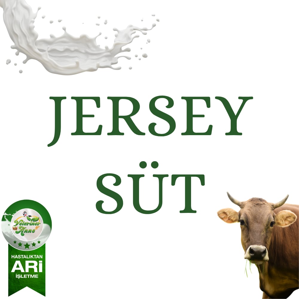 Jersey İnek Sütü 3 litre