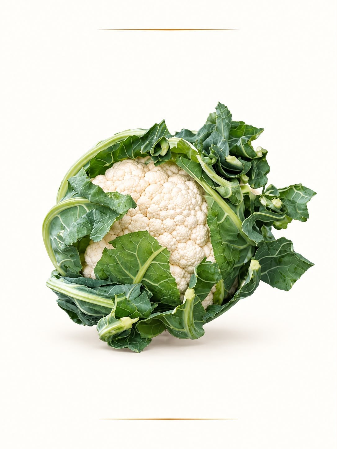 Karnabahar 1,5-2kg 