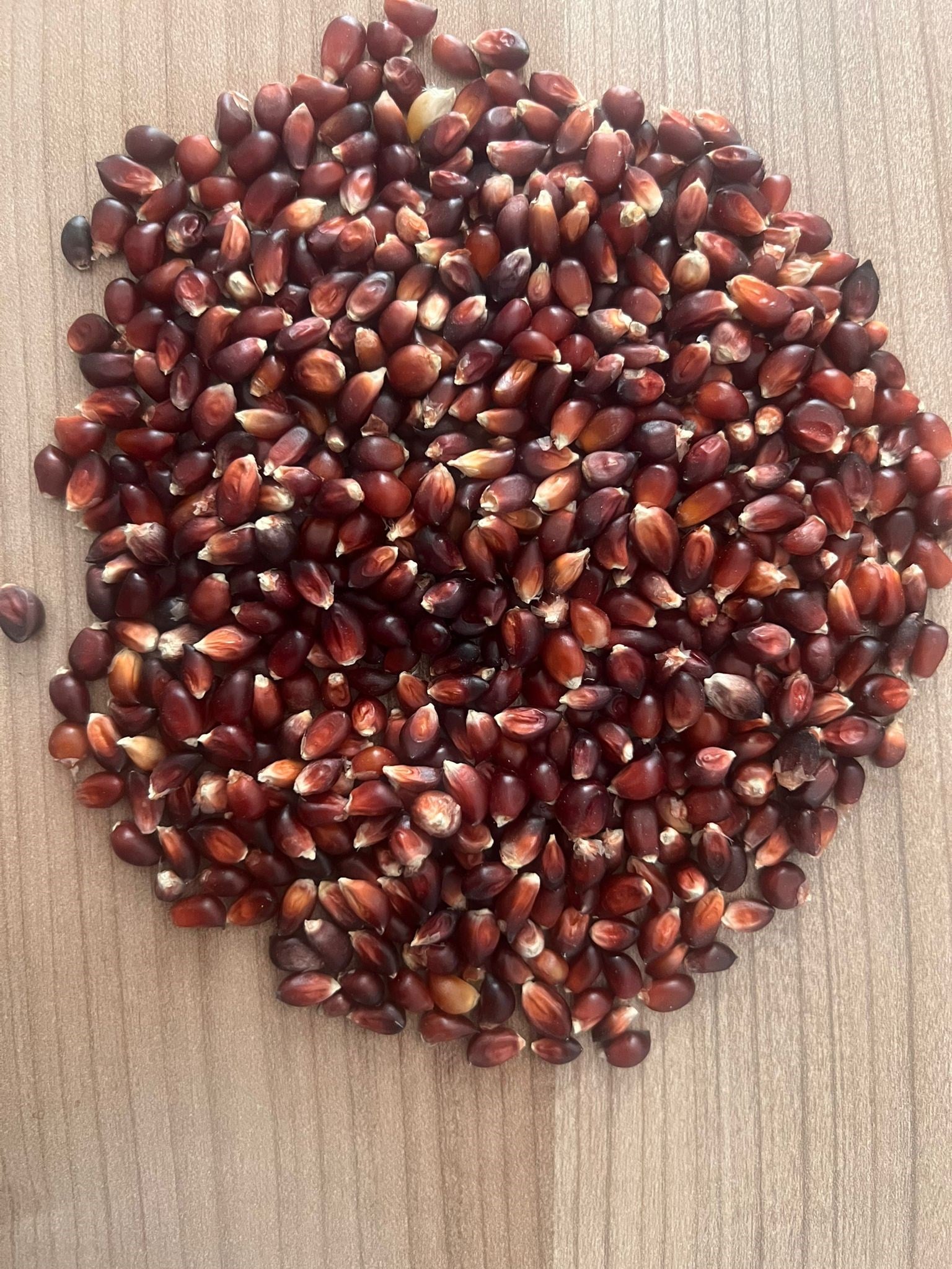 Kırmızı Patlatmalık Mısır 250 g