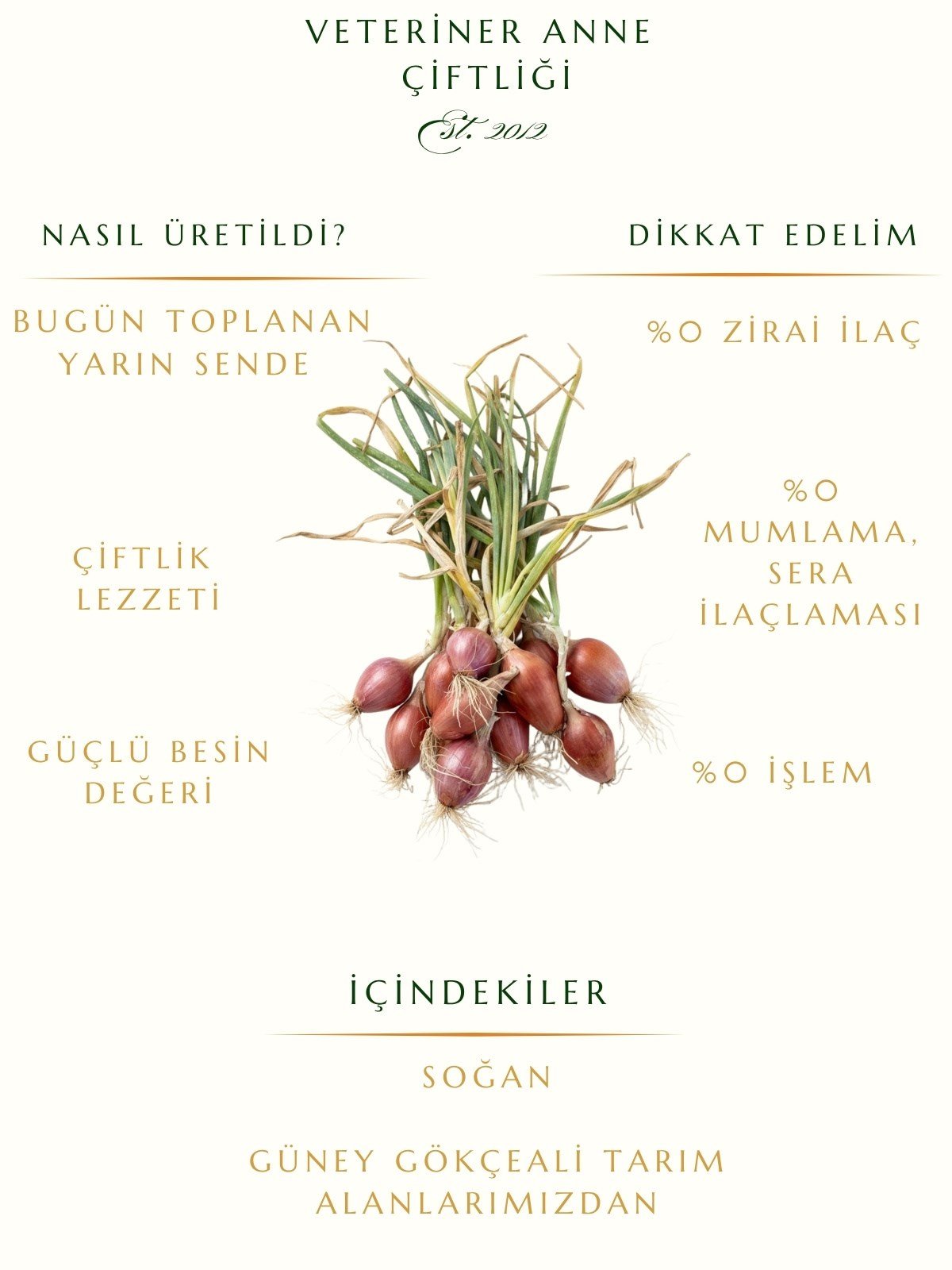 Mor Soğan 1 Kg