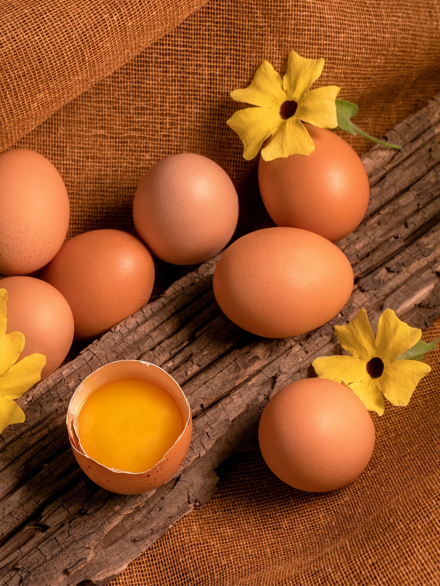 Organik Yumurta  10 Adet - 1Paket