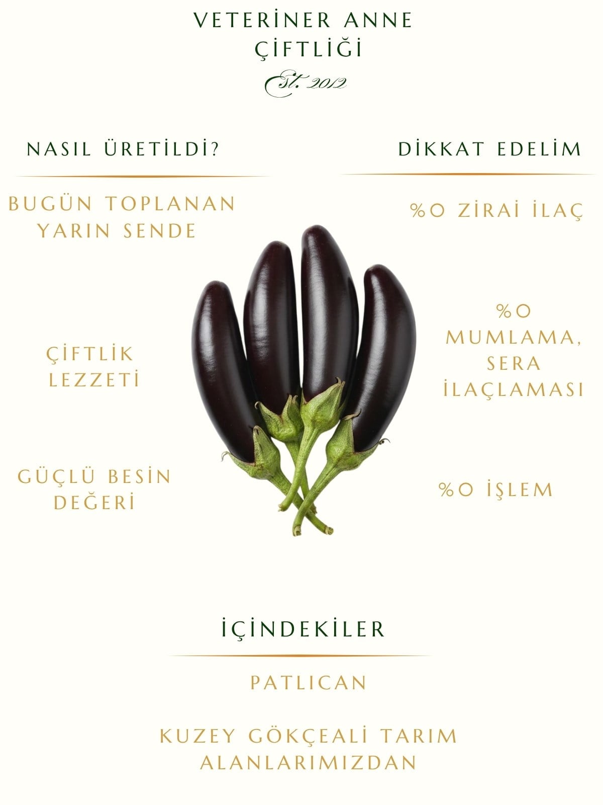 Patlıcan 1 KG