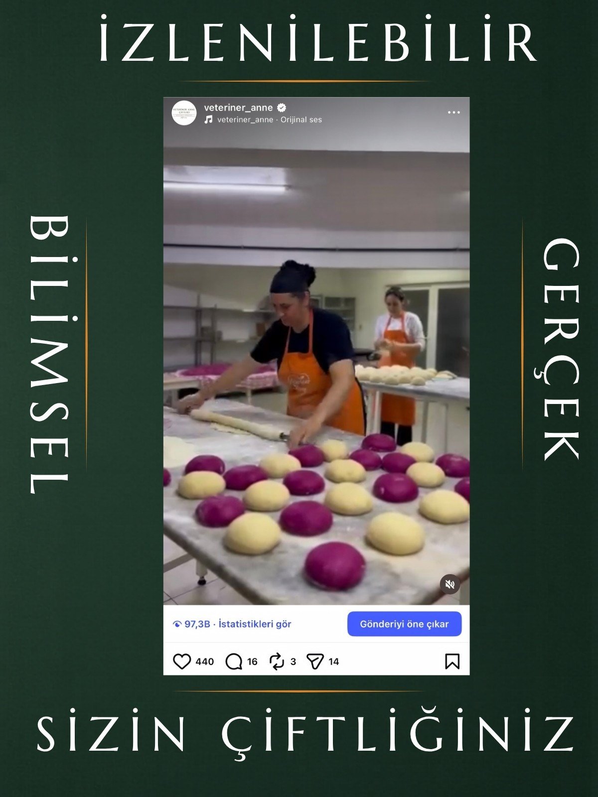 Sade Erişte 500g