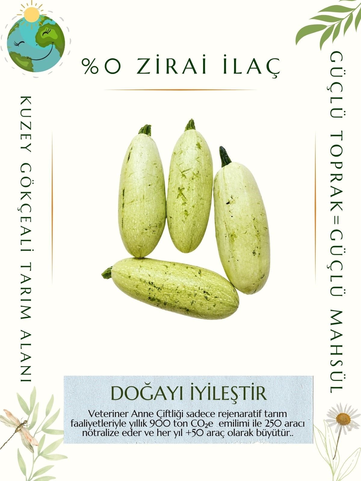 sakız kabak 500 gr