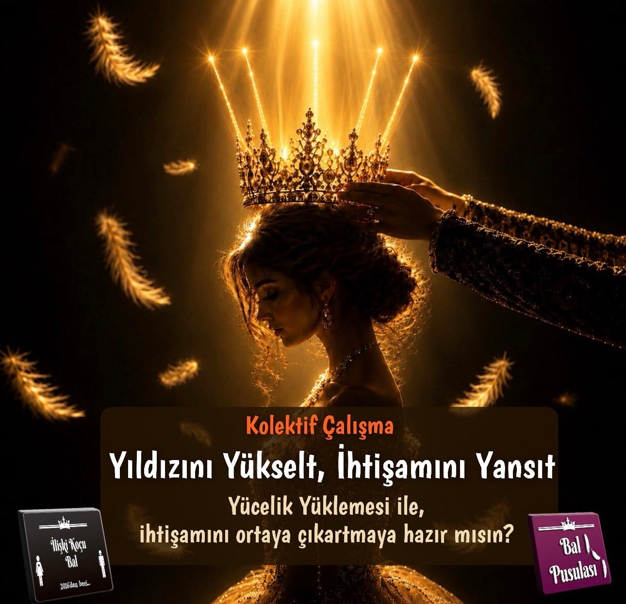 Kolektif Frekans Çalışması