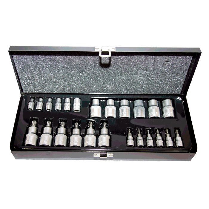 25Prç. 1/4inçve1/2inçCR-V Torx ve E Tipi Torx Lokma Seti