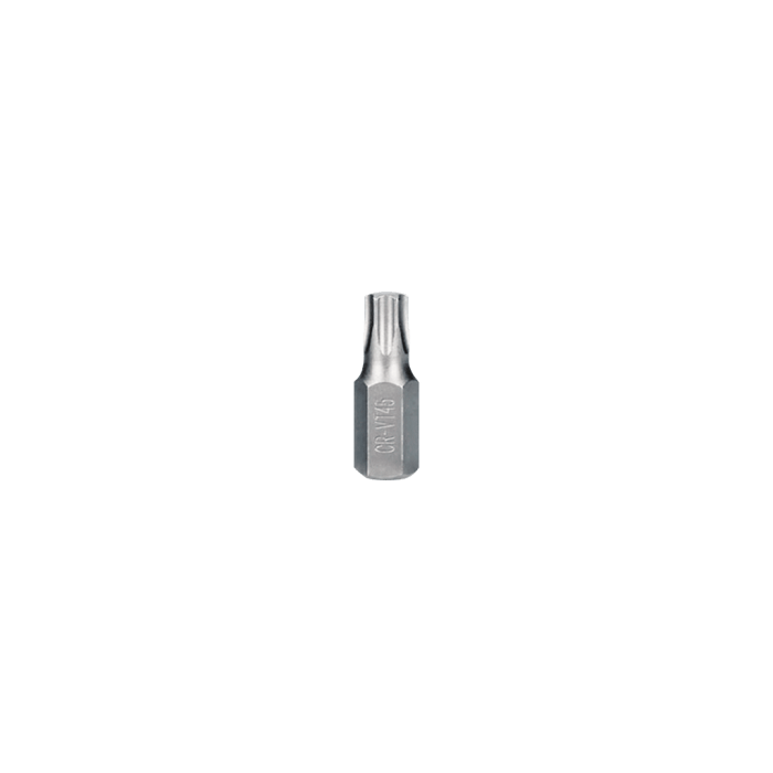 Torx Uçlu Bits Uçlar