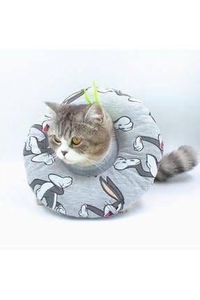Lepus Kedi Köpek Boyunluk 