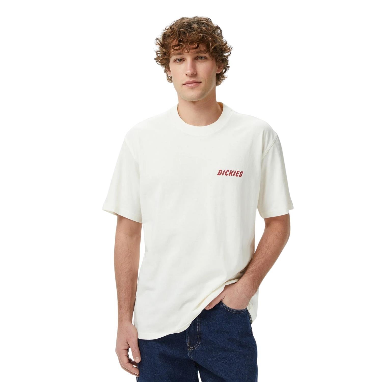 Dickies Dry Ridge Ss Tee T-shirt - DK0A8853C481