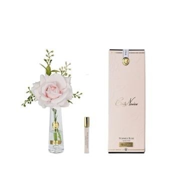 Cote Noire - Tek Güllü Gold Pembe Çiçek