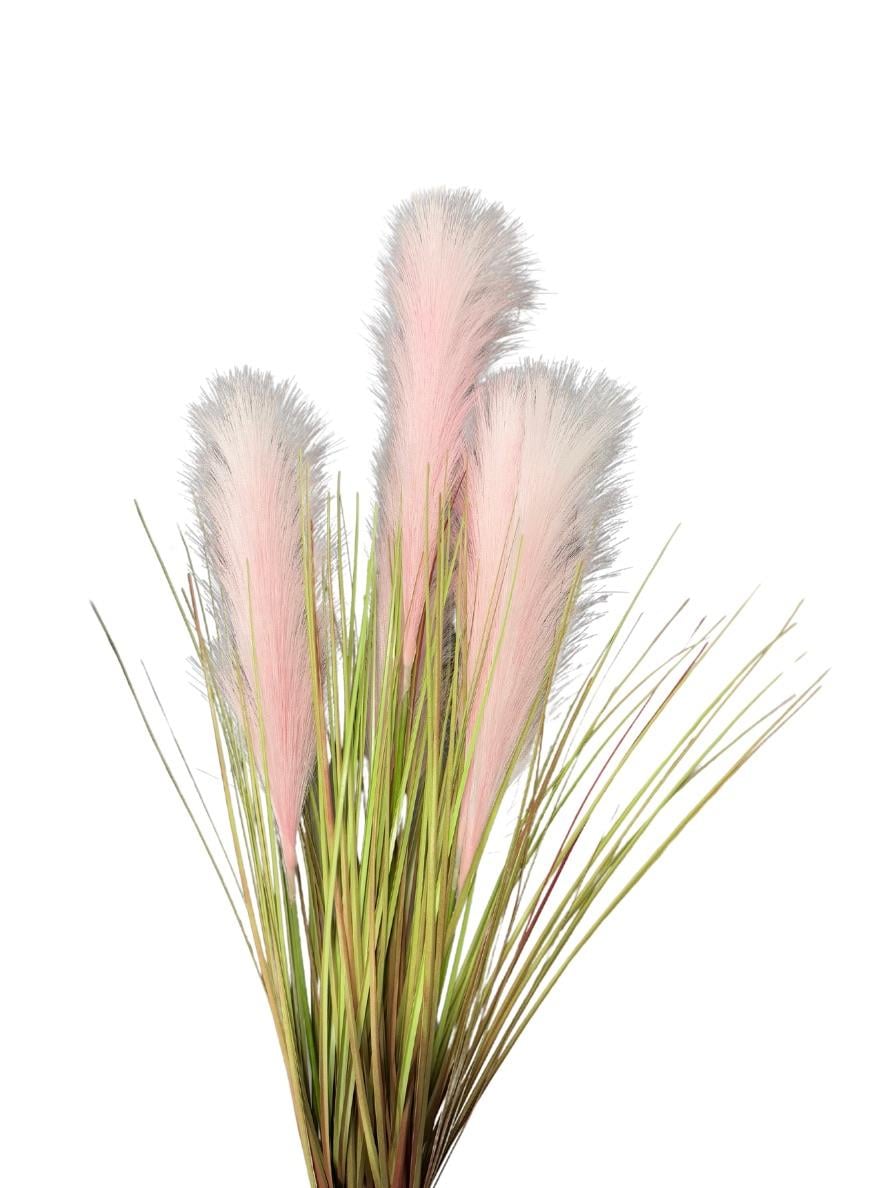 4'lü Pembe Pampas Tüy