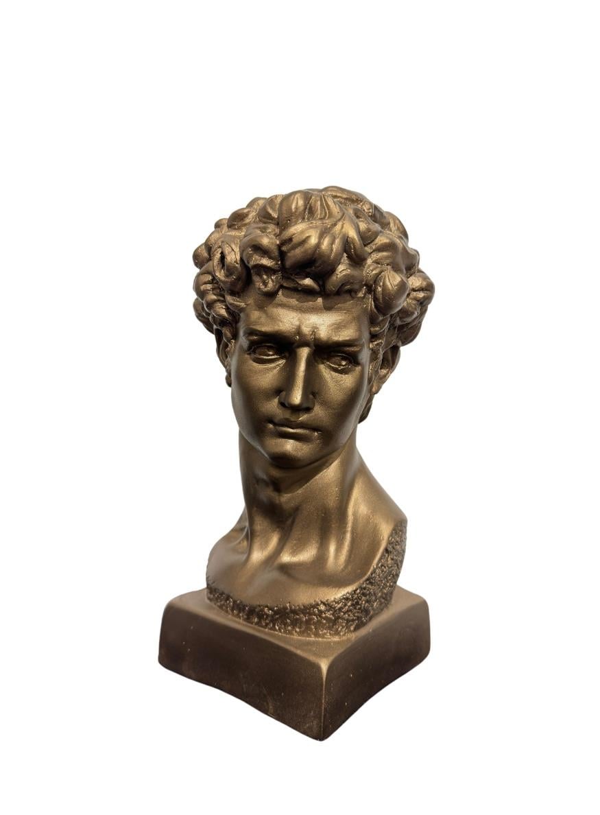 David Bronz Büst