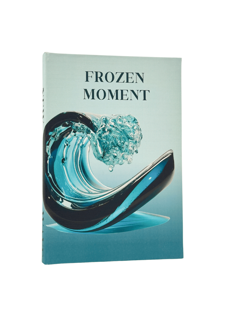 Frozen Moment Kitap Kutu (B)