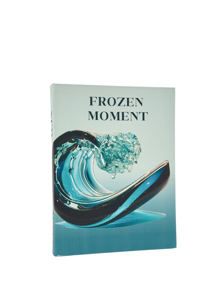 Frozen Moment Kitap Kutu (K)